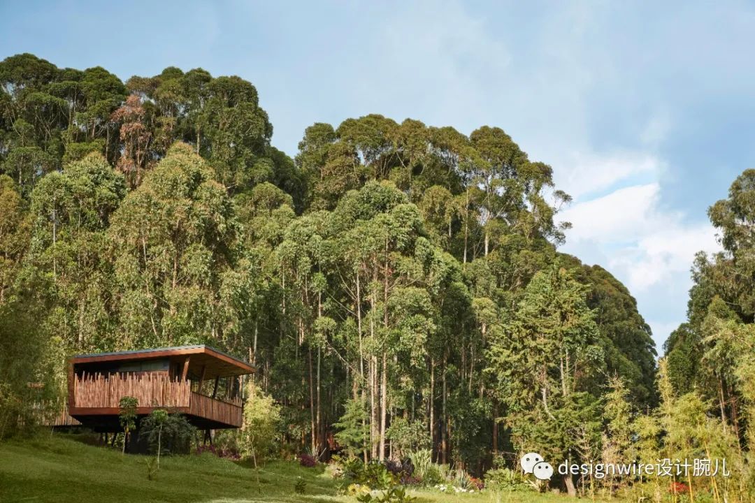 全球只有三家的酒店迪拜,oneandonly酒店