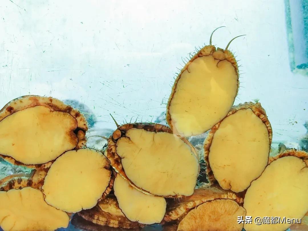 稻香“疯狂海鲜节”，1元得鲍鱼