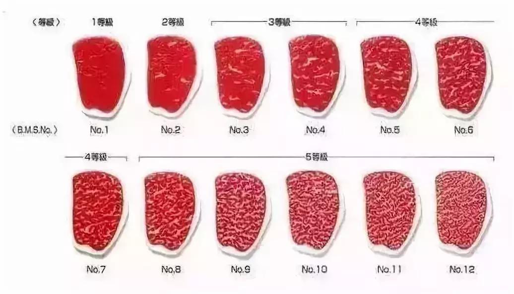日本“国宝级精液”差点进入中国,吓坏了日本人