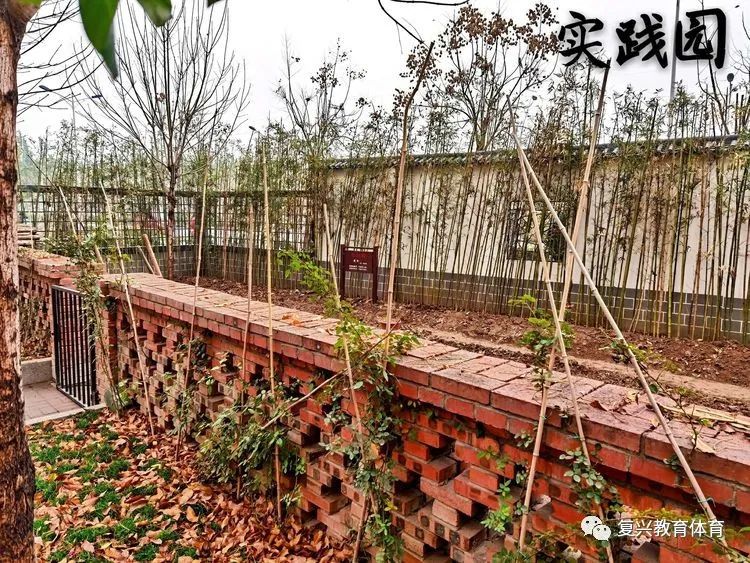 复兴百花幼儿园,邯郸复兴区所有教育机构