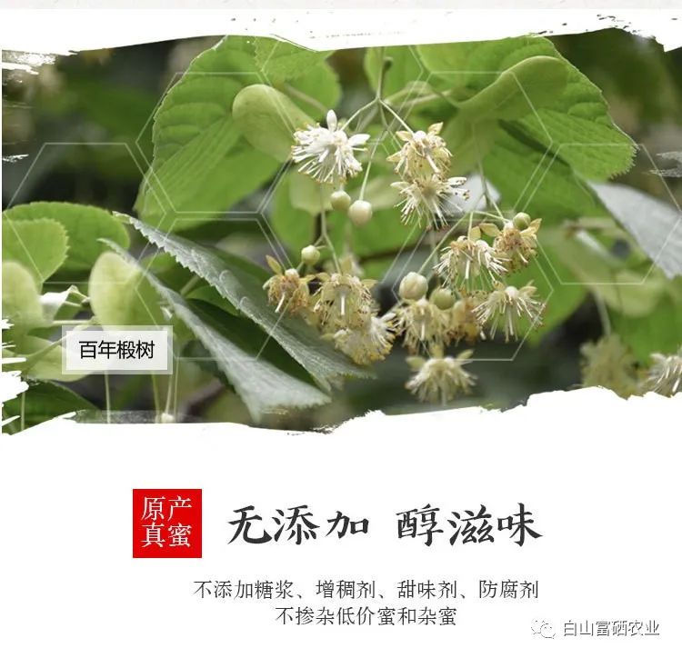 农家产品椴树蜜,长白山天然无添加的顶级椴树蜜