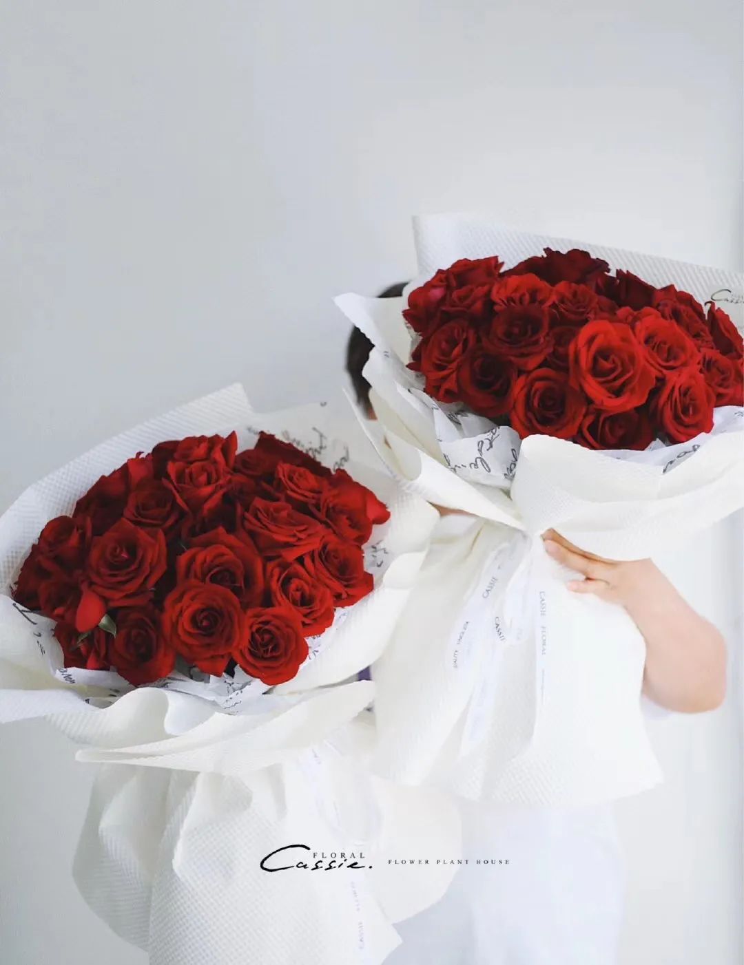 经典咏流传芦花,玫瑰花经典咏流传