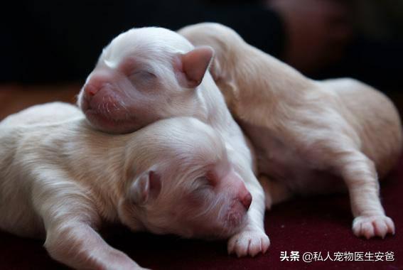 怎么为母乳喂养做准备,怎么为母亲办好后事