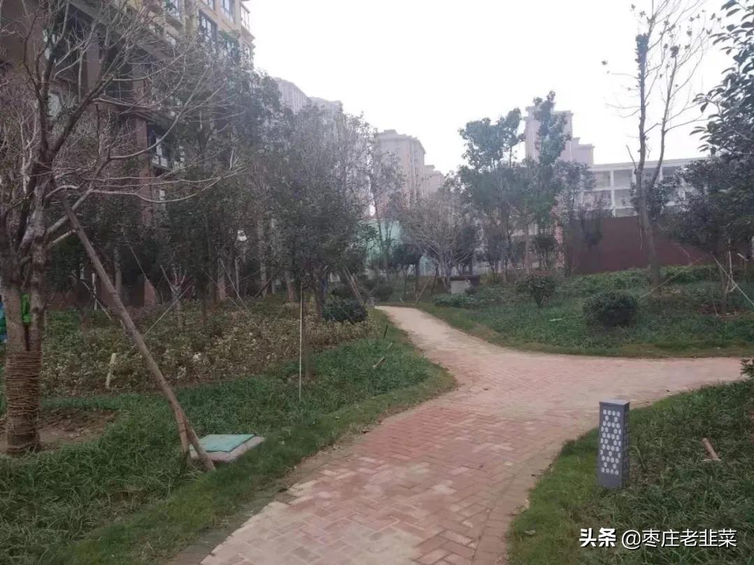 鏋ｅ簞鍥戒紒鎷呭綋,鏋ｅ簞鏈湴鍥戒紒