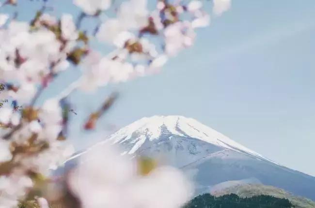 2019完整电视剧,2019冬剧场动画