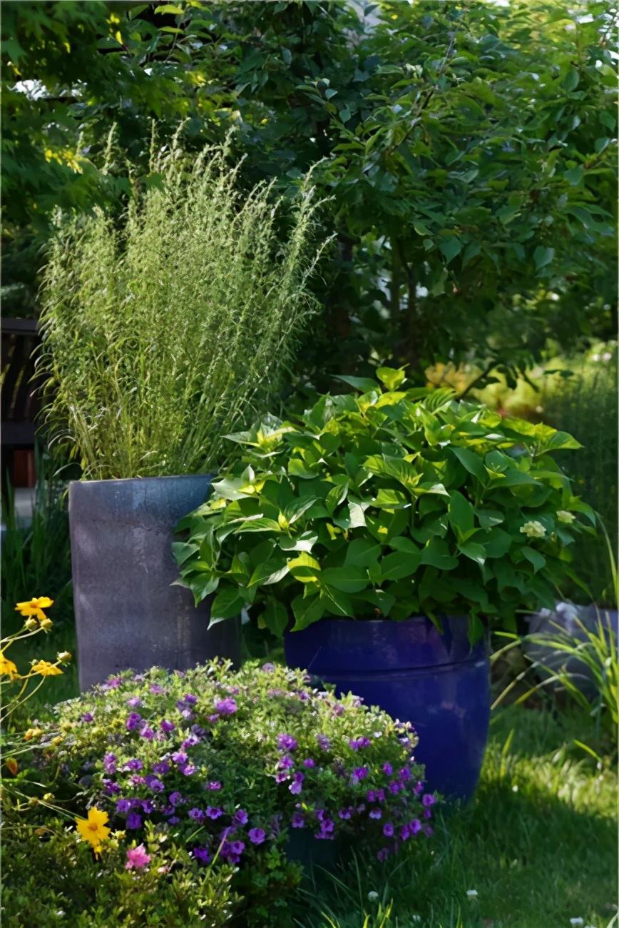 星空露营生态园,星空露营户外团建策划