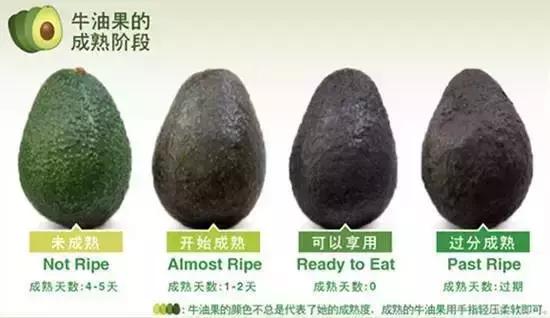 牛油果的健康骗局,牛油果优质脂肪是不是骗局