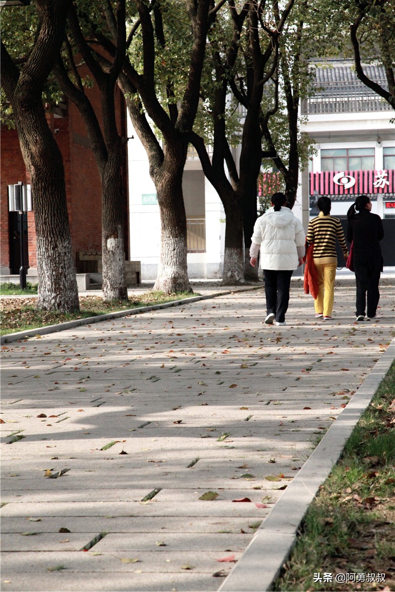 全国百强高中苏州有几个,苏州实验中学科技城校区