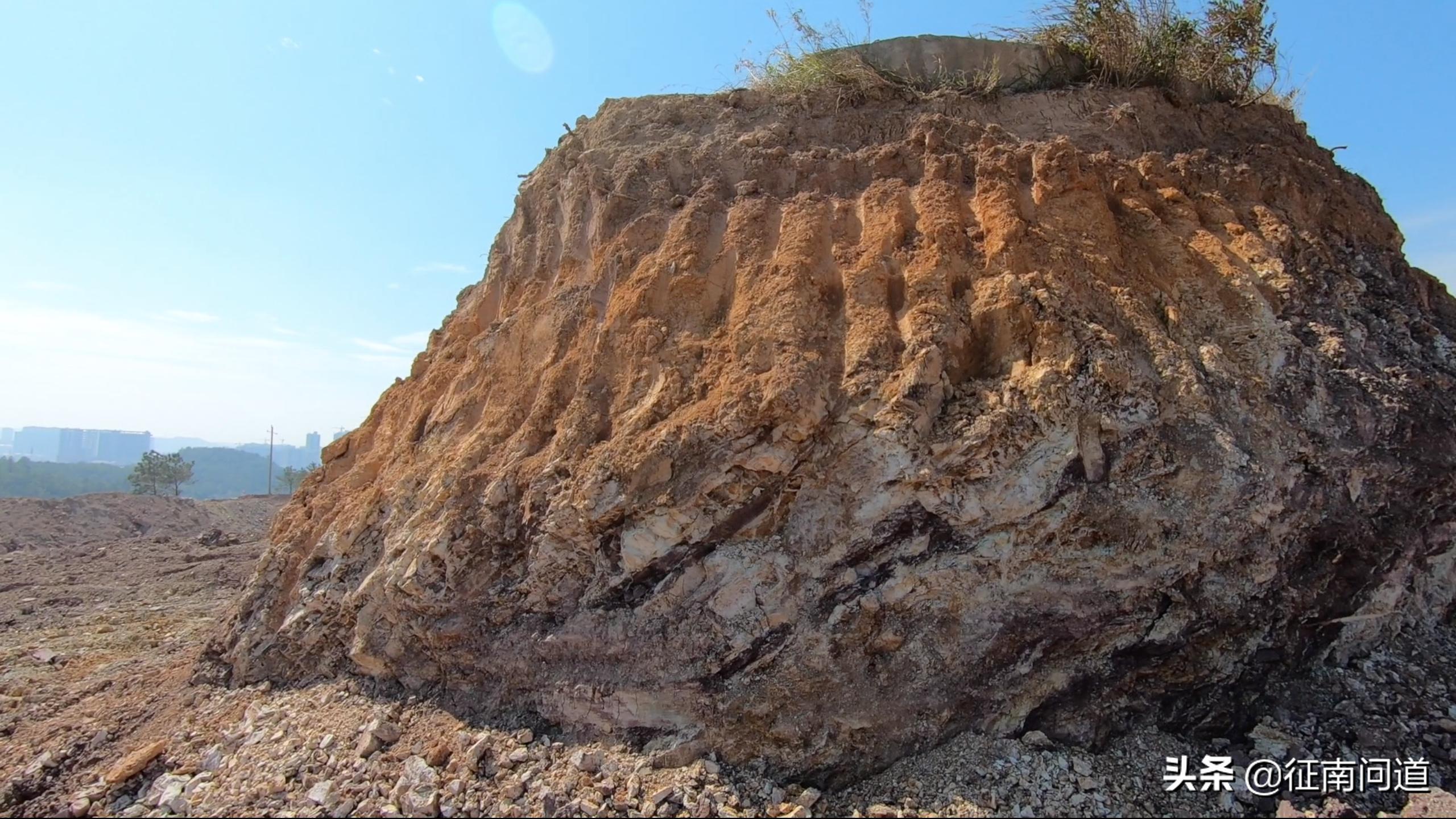 钉子坟视频完整版,钉子坟墓