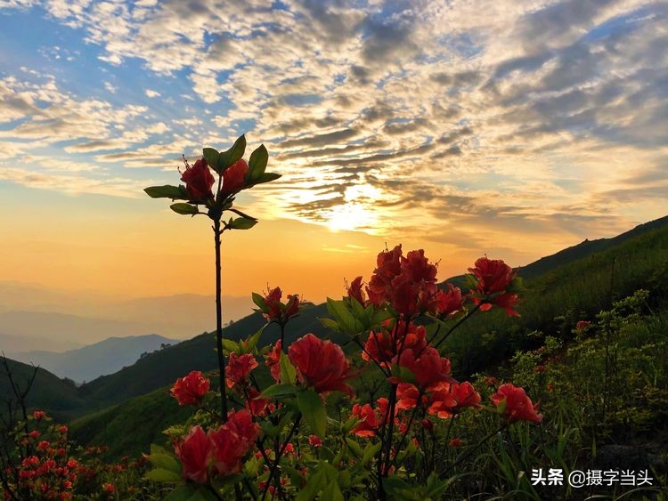 初夏游江西：历经晴、雨、雾，穿越武功山