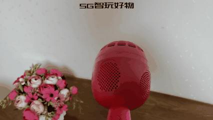 唱吧小巨蛋g2麦克风和g3的区别,唱吧小巨蛋麦克风g2使用