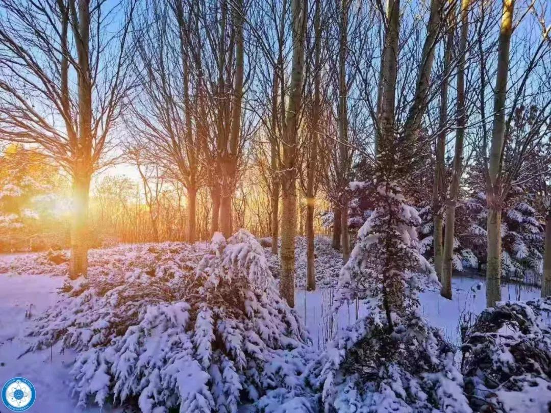 辽宁省普通高等院校（二十五）沈阳工程学院