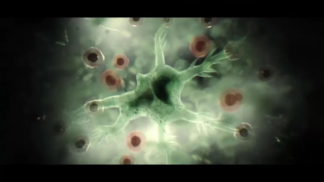 温子仁新剧一集就被砍，华纳是要搞死DC？