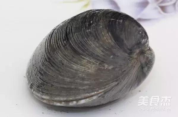 大连海域常见贝类,大连地区海产贝类原色图鉴