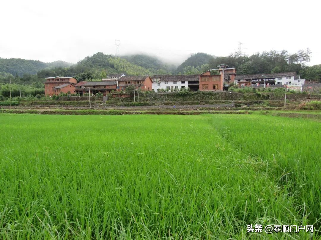 泰顺旅游攻略一日游最佳路线,泰顺最佳旅游路线