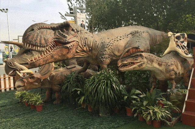 不远也好玩的地方,深圳儿童周末去哪玩推荐