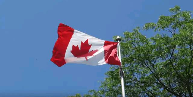 对华龙虾销量“大跳水”！加拿大4.7亿加元急救后，如今又有新招