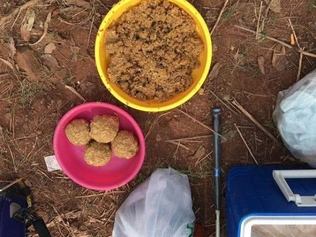 鲤鱼怎么做肉质劲道,钓鱼人喜欢鲤鱼吗