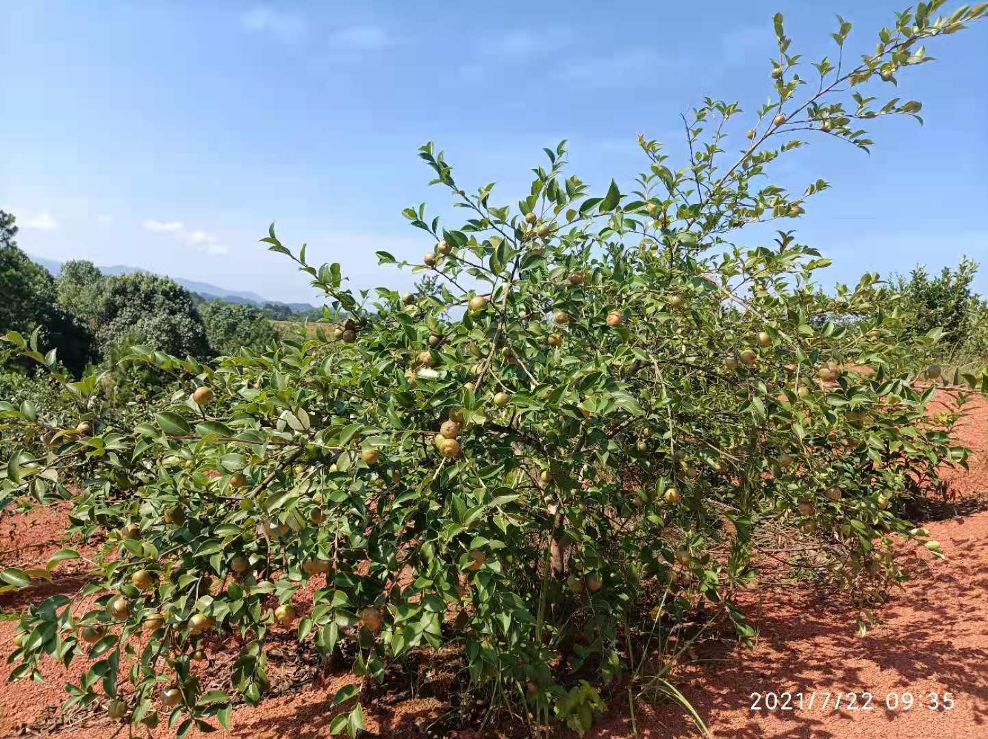 农村小伙在家做兼职赚钱吗,农村小伙做生意亏光30万