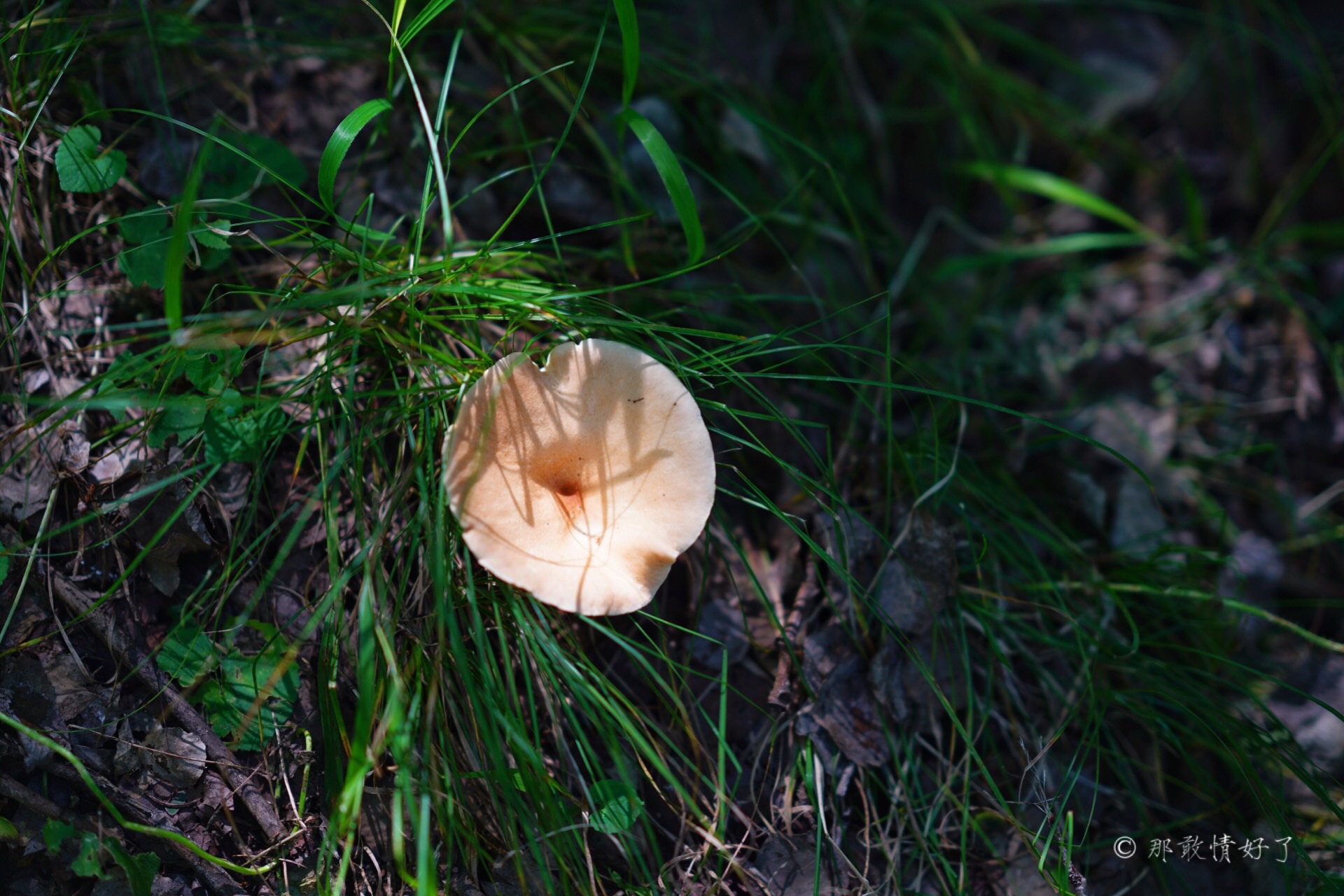 北京北部看红叶自驾线路推荐,冬季京西自驾游最佳线路