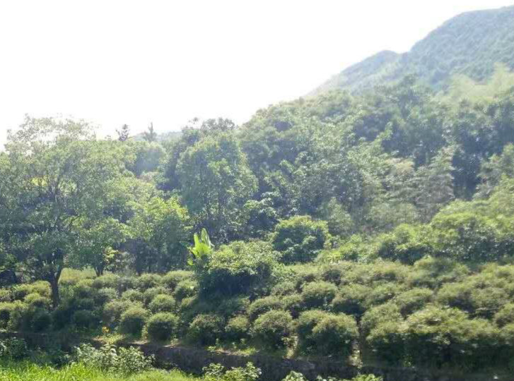 黄昏时分遗落在公园长椅上的那块香皂到底是谁的？