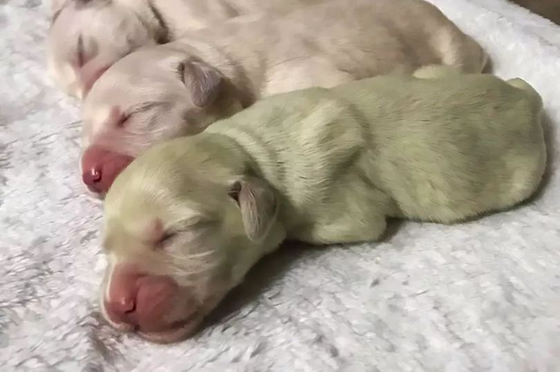 瓒h涓栫晫瑙嗛鍏ㄩ泦,瓒h涓栫晫瑙嗛澶у叏