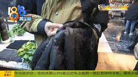 绵羊皮的衣服，撕起来跟纸一样？老板辩解现场“翻车”