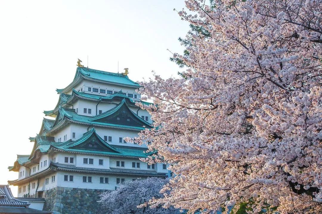 名古屋附近值得去的地方,名古屋附近有好玩的地方吗