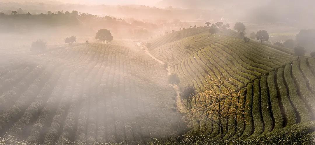 十一杭州景点攻略,杭州景点旅游攻略5天