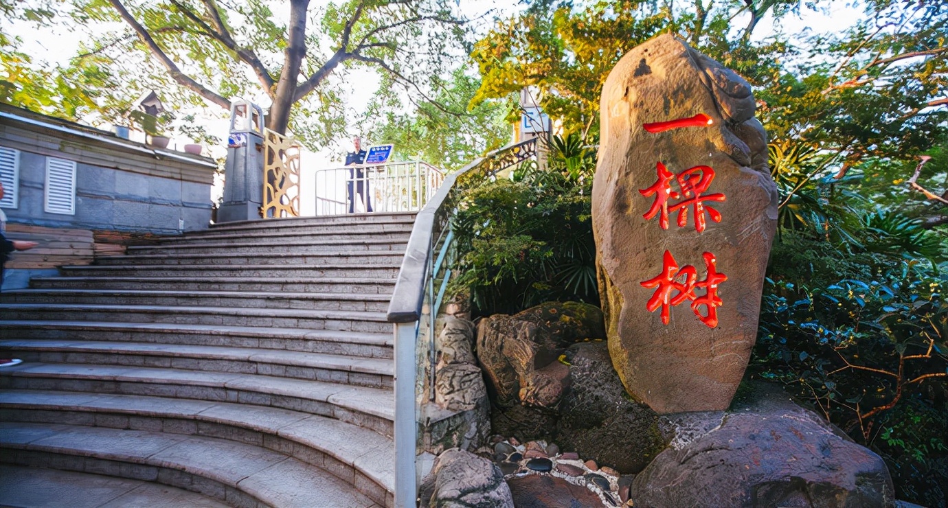 重庆南山风景区有哪些景点,重庆南山风景区旅游攻略图