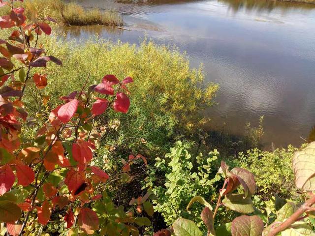 江苏广电第八届冠军,江苏电视台年度冠军