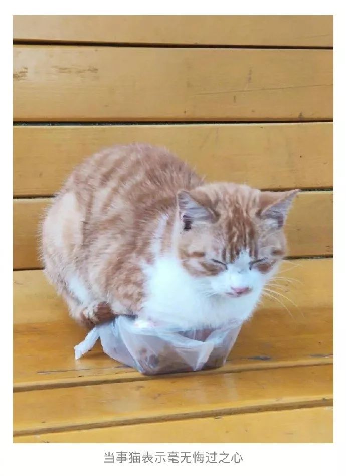 学生爆笑表情包,大学生打招呼幽默表情包