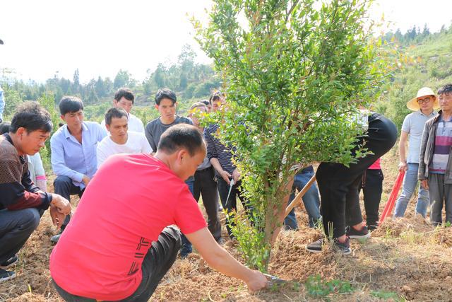 贵州省福润集团有限公司,贵州福润农资