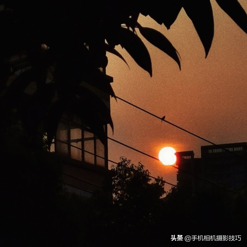 会摄影很酷,会摄影的人真的很酷