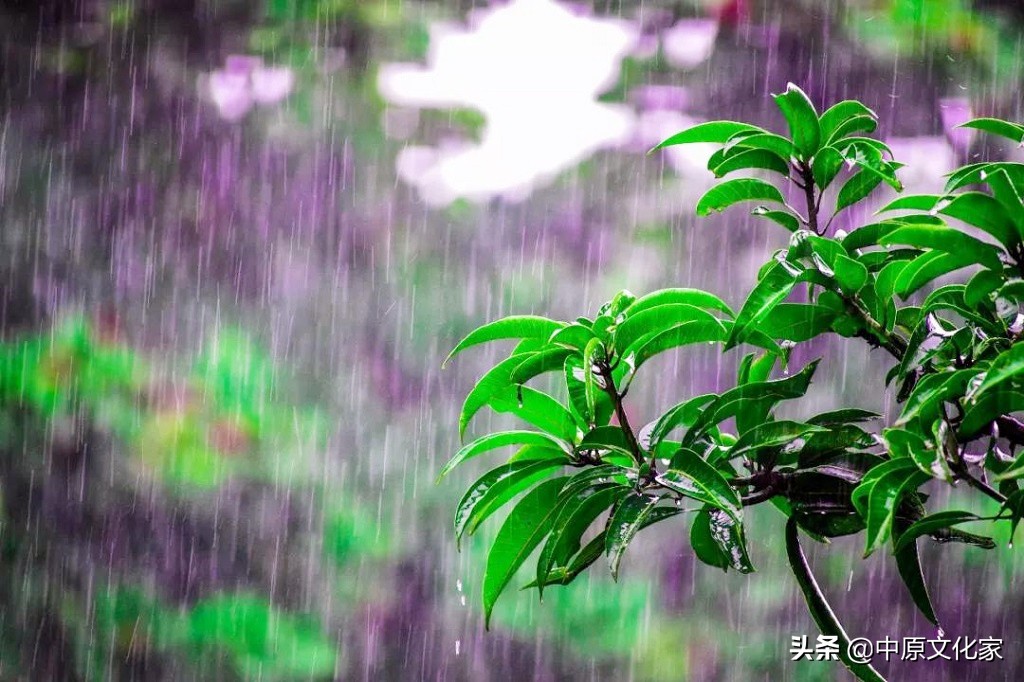 娓呮槑璋烽洦澶忚嚦灏忔弧,娓呮槑璋烽洦绔嬪灏忔弧