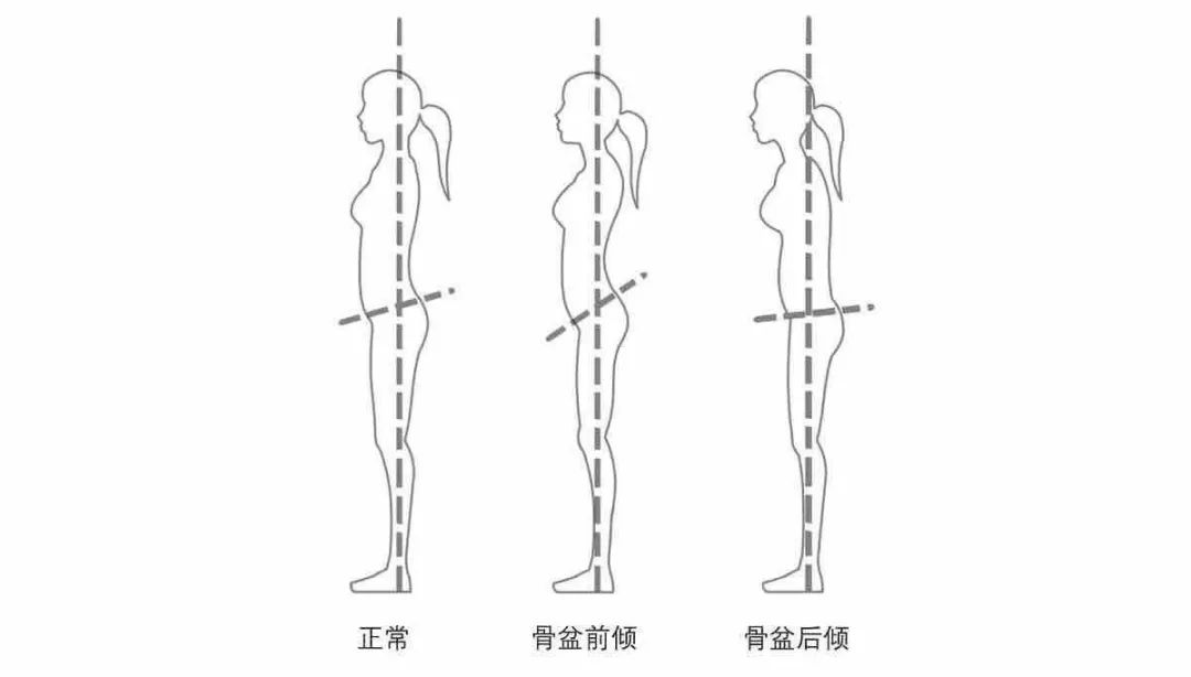 好身材对照图,完美身材腰臀比示意图
