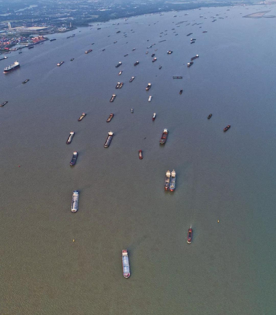 米醋和柿子醋哪个好,柿子醋中国人自己的饮料