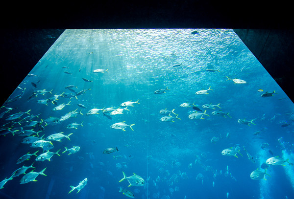 三亚度假公寓58平,三亚度假公寓两室