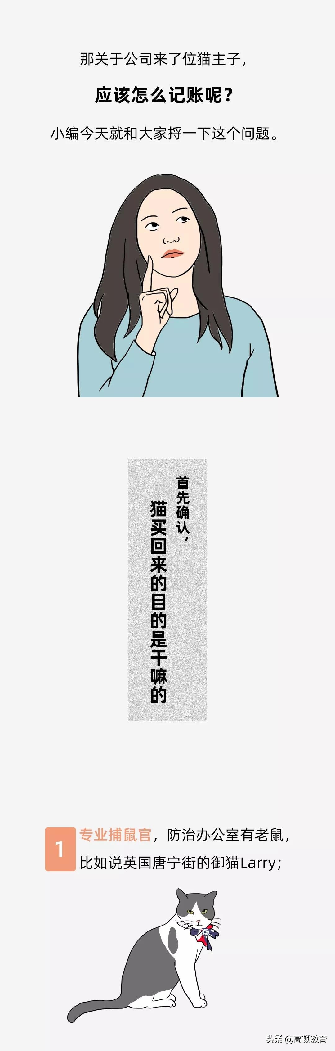 公司买个猫怎么处理,公司买的猫怎么入账