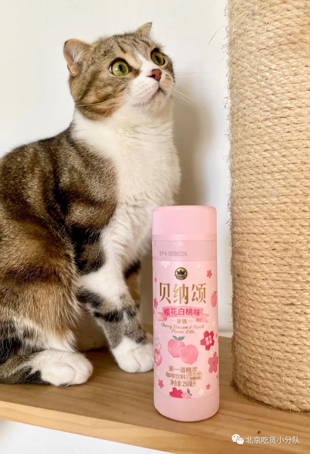 樱花有多好看零食就有多难吃,好看的樱花能吃吗