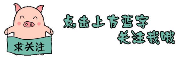 猪蓝耳圆环什么症状,猪场圆环蓝耳预防方案