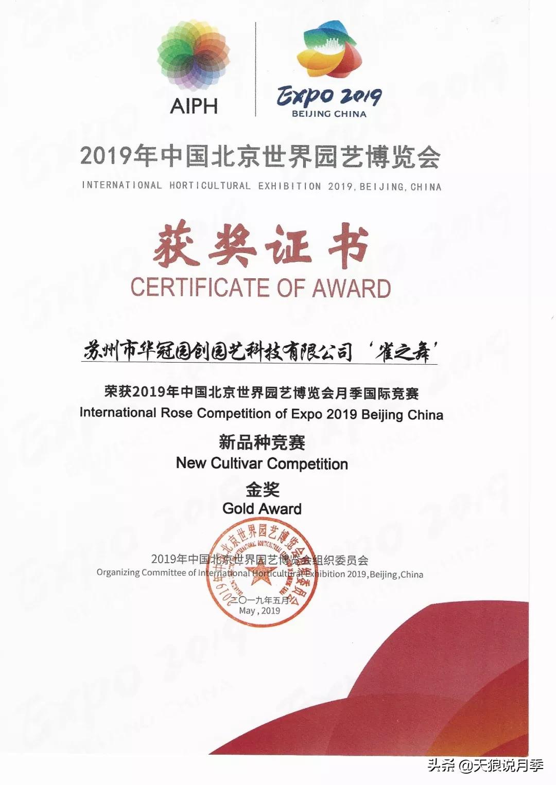 天狼月季起源,天狼月季是做什么的