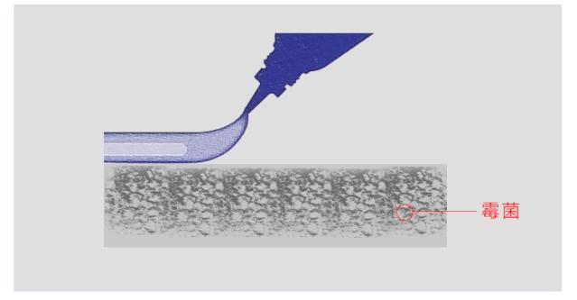 冰箱密封条如何去霉,冰箱密封条发霉用什么擦拭