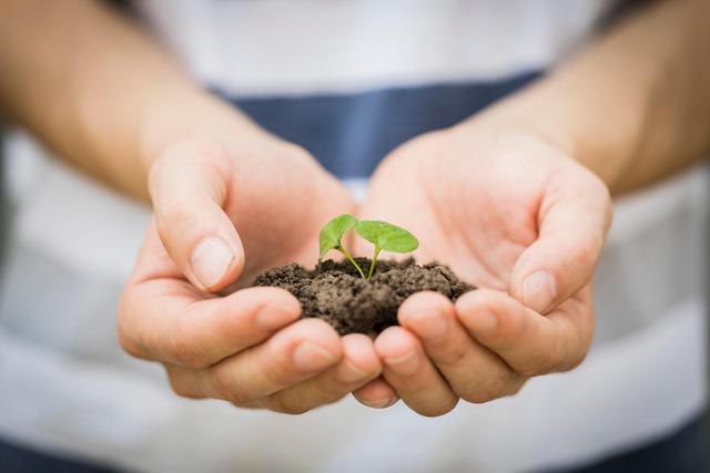 大专比较好就业工资高的几个专业,大专选什么专业最吃香是铁饭碗