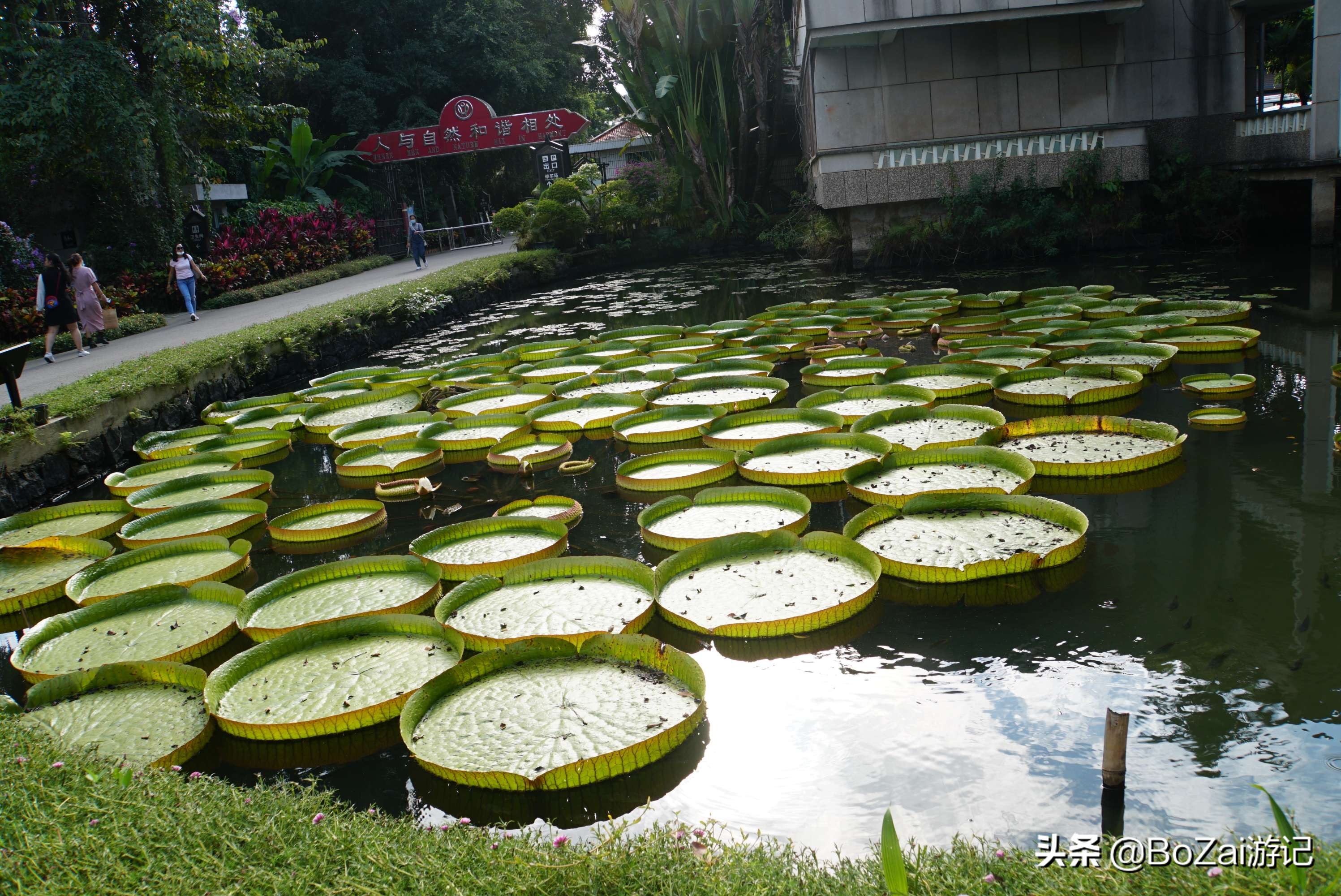 云南西双版纳到文山途经哪些景点,西双版纳适合6-12岁儿童的景点