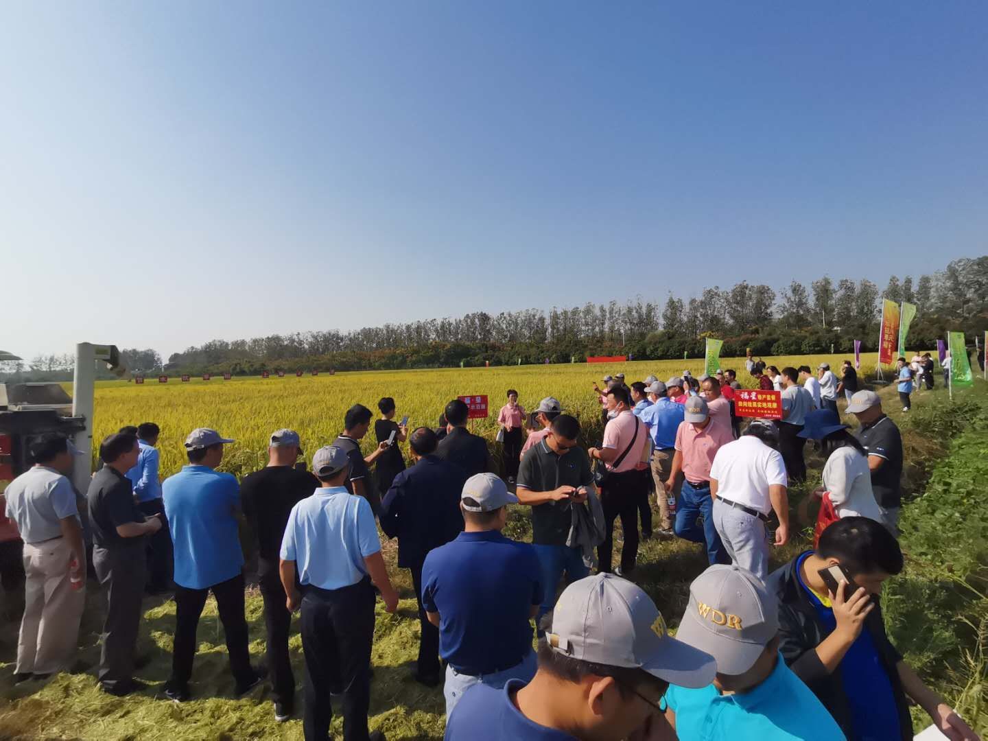 卖农资利润有多大,卖农资真的有用吗