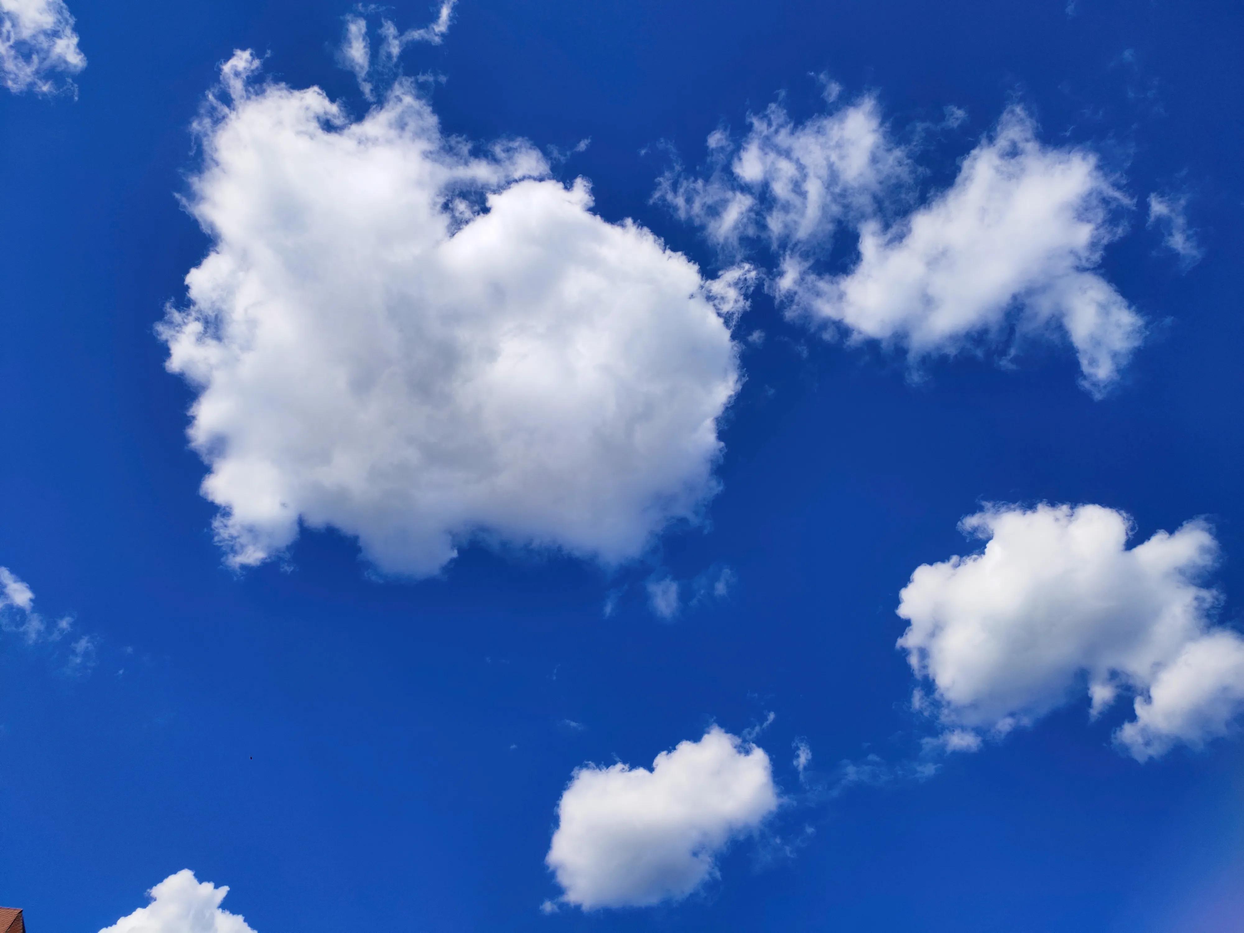 武清南湖公园免费,武清南湖公园门票多少钱