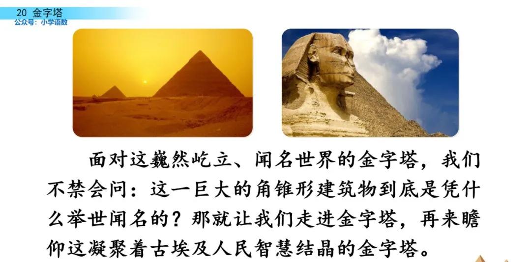 部编版五年级下册语文金字塔教案,语文书五年级下册第20课课后练习
