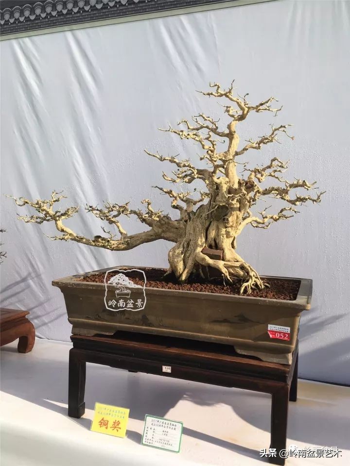 骞哥涔呬箙鐢滅敎铚滆湝,骞哥涔呬箙