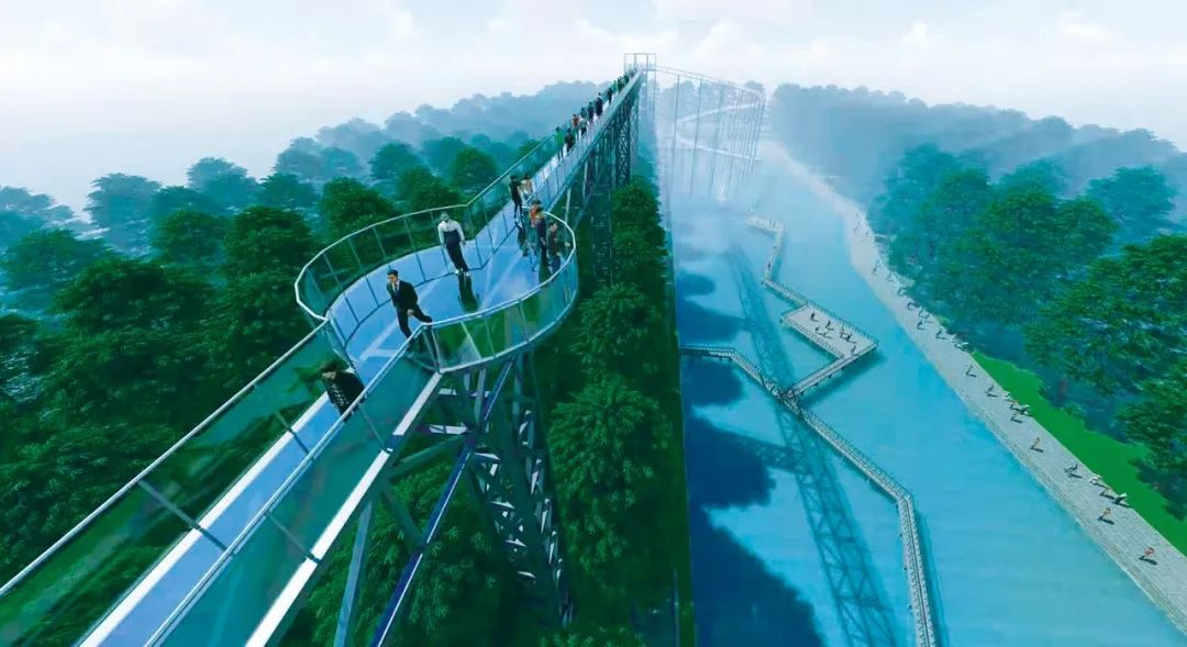 森氧之地,秋游必选!金湖万亩水上森林,真的别有趣味